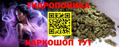PSILOCYBIN Анжеро-Судженск