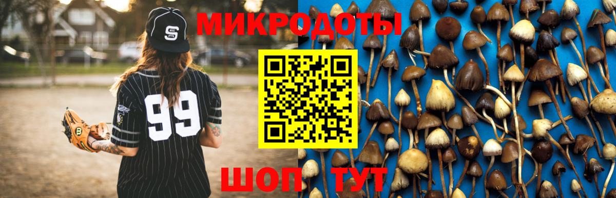 Галлюциногенные грибы прущие грибы Великий Новгород