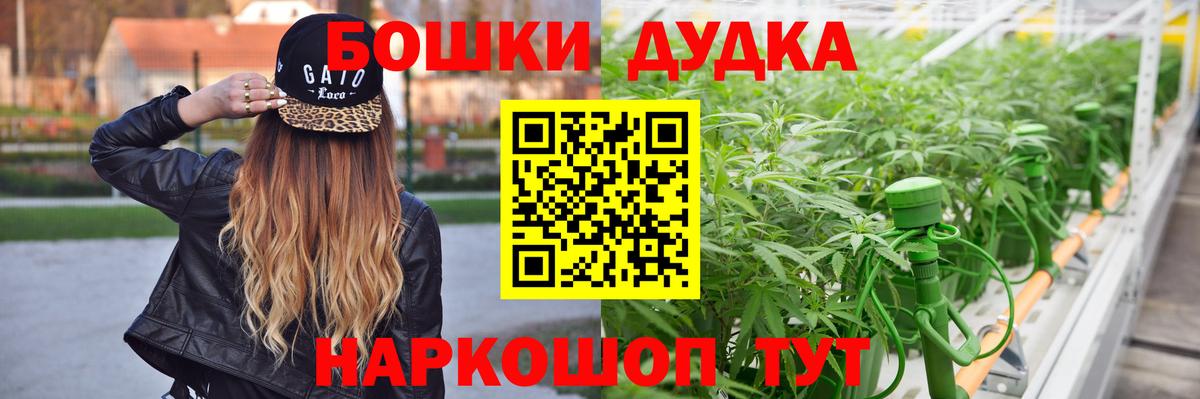 Великий Новгород  МАРИХУАНА марихуана  Марихуана план  Вход с VPN  Бошки марихуана SATIVA & INDICA  Марихуана сатива 